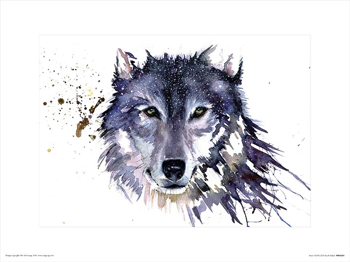 Sarah Stokes Snow Wolf 30x40cm Animal Print
