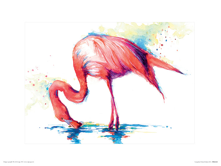 Sarah Stokes Tranquility Flamingo 30x40cm Animal Print