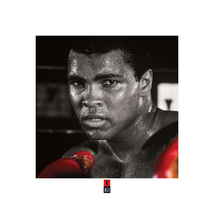 Muhammad Ali Boxing Gloves Colour 40x40cm Art Print
