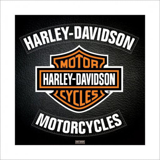 Harley-Davidson Motorcycles Leather 40x40cm Art Print