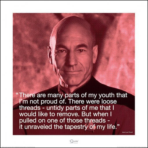 Star Trek Jean-Luc Picard Threads Quote 40x40cm Art Print