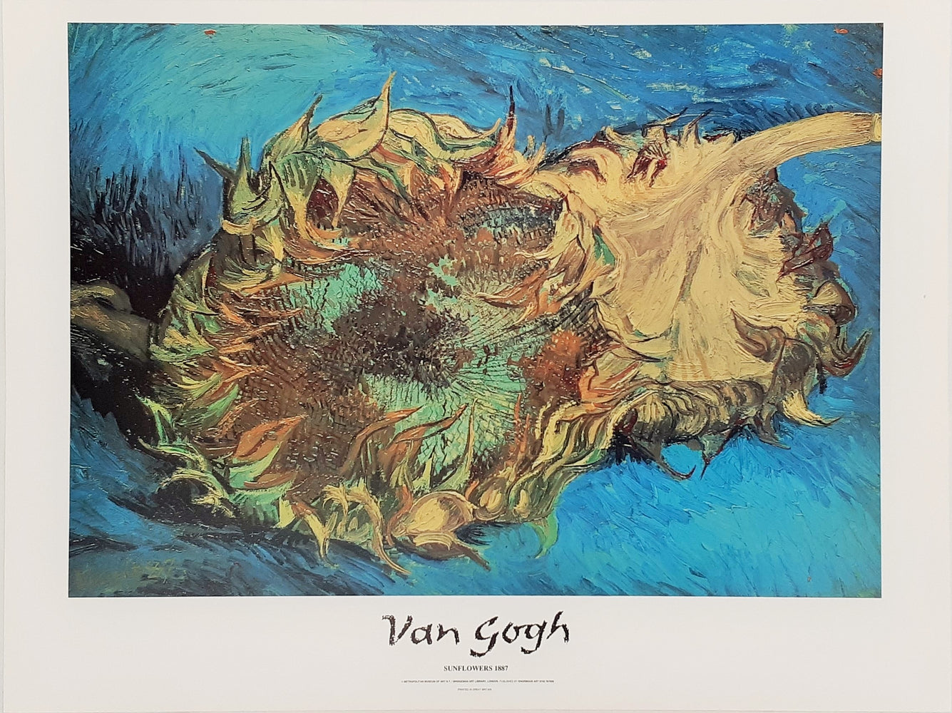 Vincent Van Gogh Sunflowers 1887 60x80cm Art Print