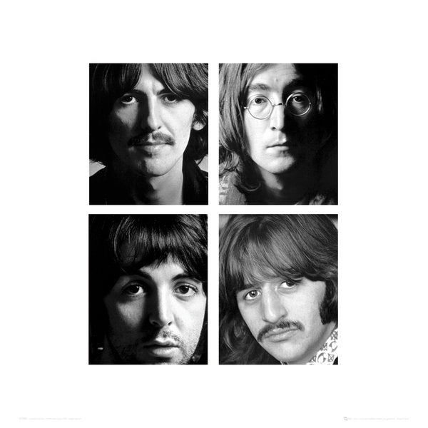 The Beatles The White Album Photos 40x40cm Art Print