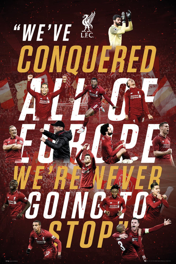 Liverpool FC Champions League Winners 2019 Maxi Poster