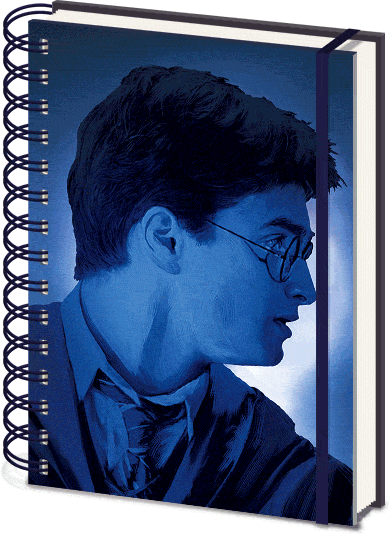 Harry Potter Magic Portrait 3D Cover Elasticated A5 Wiro Notebook