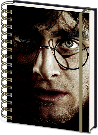 Harry Potter Harry Or Voldemort 3D Cover Elasticated A5 Wiro Notebook