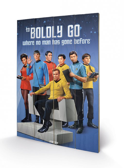 Star Trek Original Cast To Boldly Go 40cm x 59cm Small Wooden Wall Art Panel