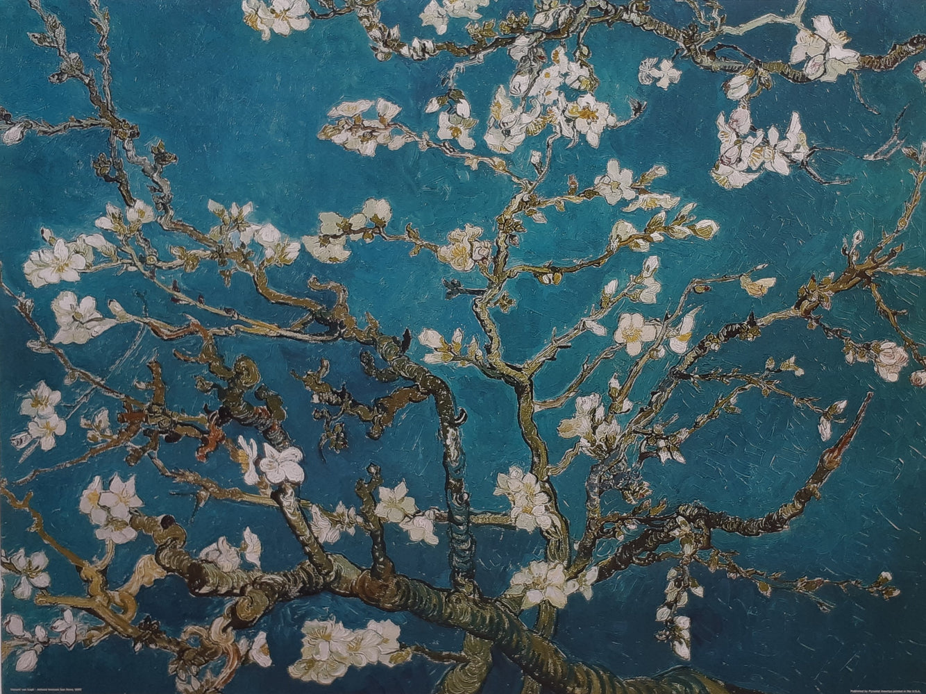 Vincent Van Gogh Almond Blossom 1890 60x80cm Art Print