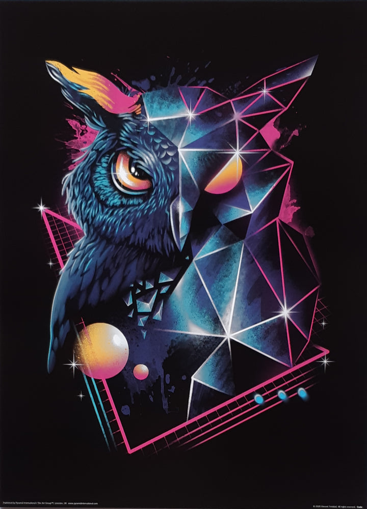Vincent Trinidad Rad Owl 30x40cm Art Print