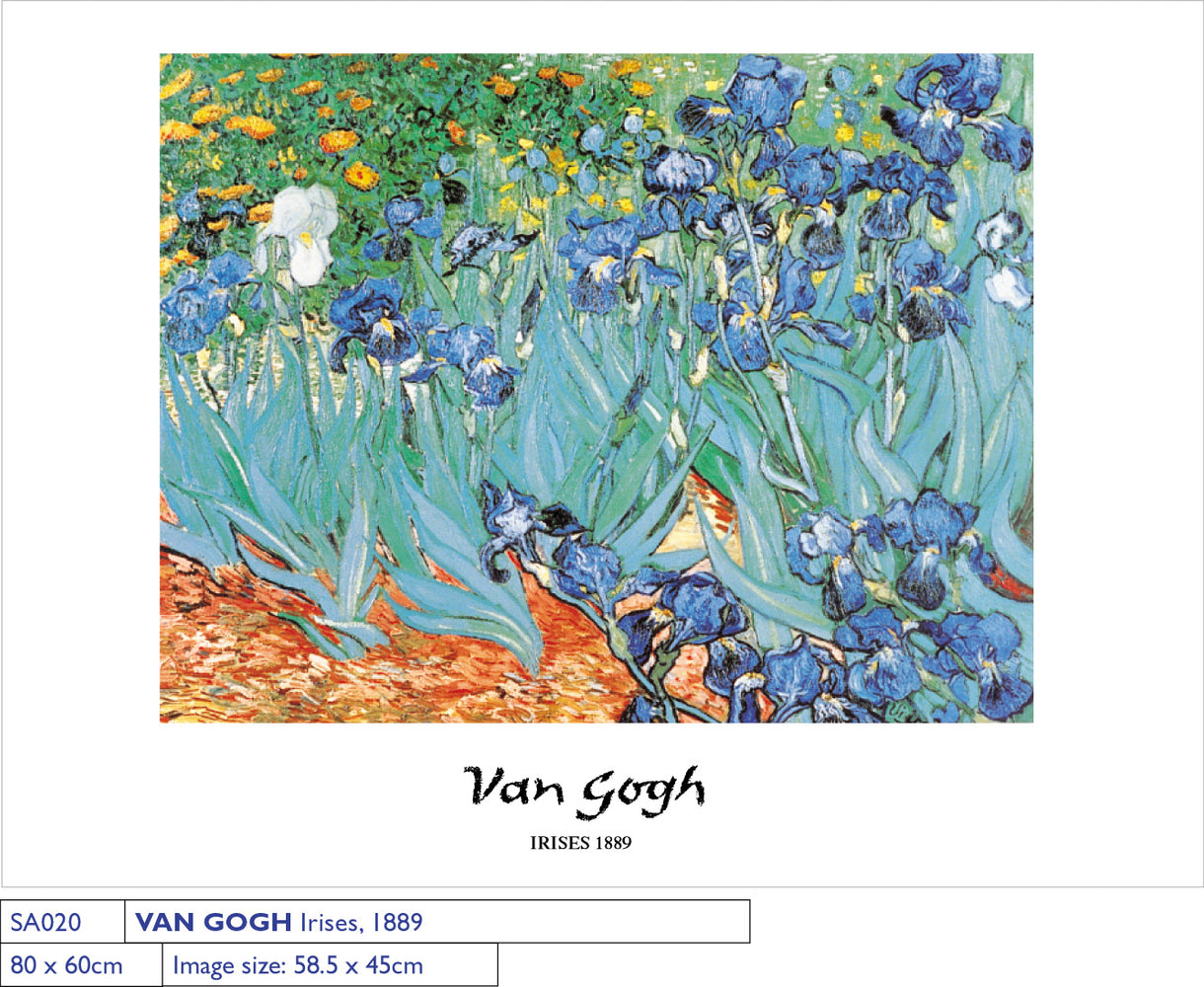 Vincent Van Gogh Irises 1889 60x80cm Art Print