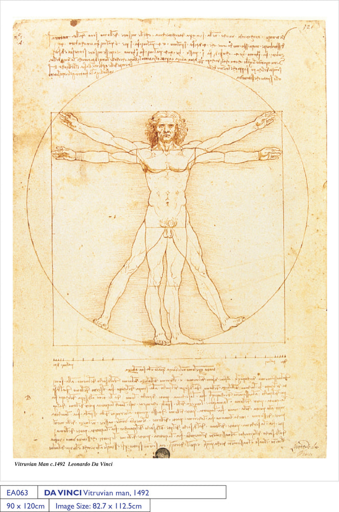 Leonardo Da Vinci Vitruvian Man 1490 Enormous 90cm x 120cm Quality Art Print